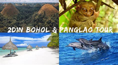cebu to bohol flight|cebu to panglao flights.